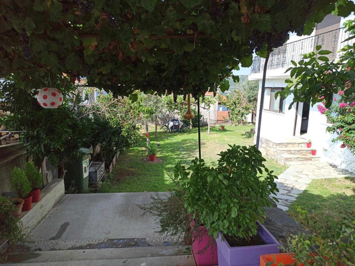 Dora'S House Comfortable Apartment With A Yard And View Pyrgadikia Esterno foto
